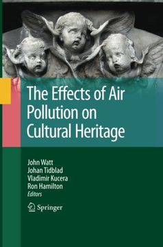 portada The Effects of Air Pollution on Cultural Heritage