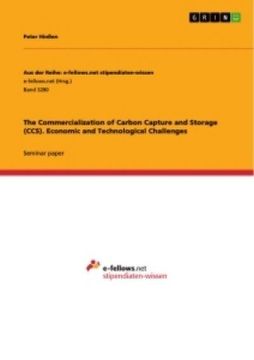 portada The Commercialization of Carbon Capture and Storage (CCS). Economic and Technological Challenges (en Inglés)