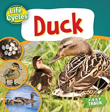 portada Duck (Life Cycles) (en Inglés)