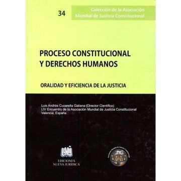 portada PROCESOS CONSTITUCIONAL Y DERECHOS HUMANOS (in Spanish)