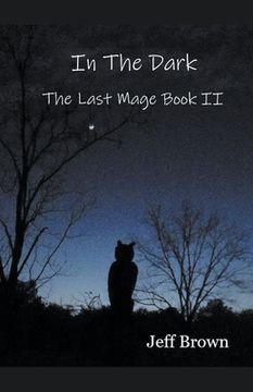 portada In The Dark: The Last Mage Book II (en Inglés)