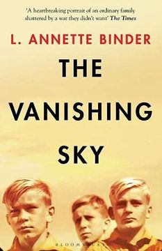 portada The Vanishing sky (in English)