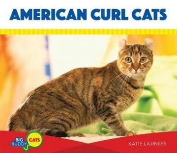 portada American Curl Cats (Big Buddy Cats)