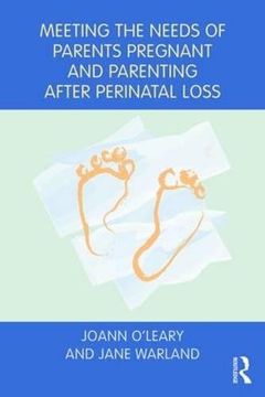 portada Meeting the Needs of Parents Pregnant and Parenting After Perinatal Loss