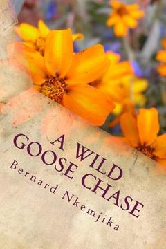 portada A wild goose chase (in English)