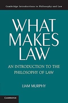 portada What Makes Law: An Introduction to the Philosophy of law (Cambridge Introductions to Philosophy and Law) (en Inglés)