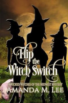 portada Flip the Witch Switch