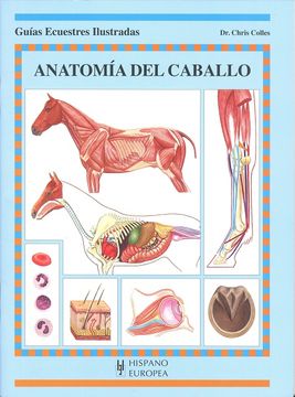 portada Anatomia del Caballo (in Spanish)
