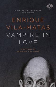 portada Vampire in Love