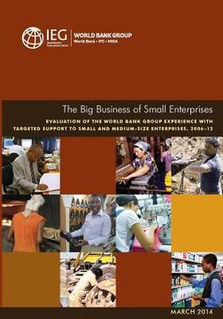 portada The Big Business of Small Enterprises (en Inglés)