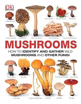 portada Mushrooms (in English)
