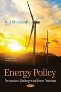 portada Energy Policy: Perspectives, Challenges and Future Directions (Energy Policies Politics and p) (en Inglés)