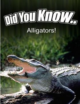 portada Alligators (Did You Know)