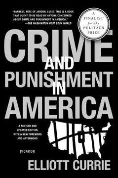 portada crime and punishment in america (en Inglés)