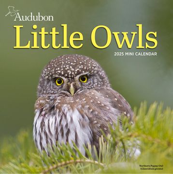 portada Audubon Little Owls Mini Wall Calendar 2025: A Year of Fluffy and Round Owls