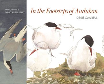 portada In the Footsteps of Audubon (en Inglés)