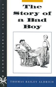 portada The Story of a bad boy (in English)