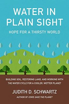 portada Water in Plain Sight: Hope for a Thirsty World (en Inglés)
