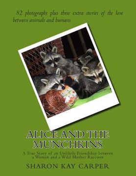 portada Alice and the Munchkins: A True Story of an Unlikely Friendship between a Woman and a Wild Mother Raccoon (en Inglés)
