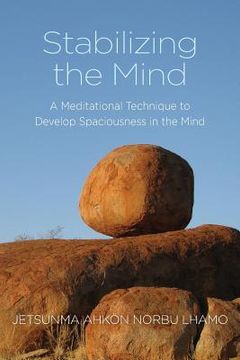 portada Stabilizing the Mind: A Meditational Technique to Develop Spaciousness in the Mind (en Inglés)