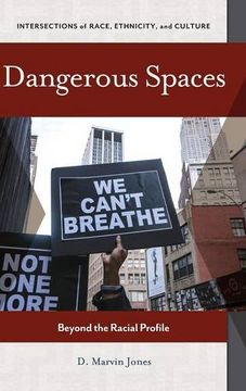 portada Dangerous Spaces: Beyond the Racial Profile (Intersections of Race, Ethnicity, and Culture) (en Inglés)