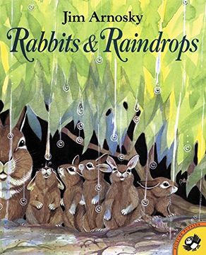 portada Rabbits & Raindrops (in English)