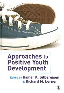 portada Approaches to Positive Youth Development (en Inglés)