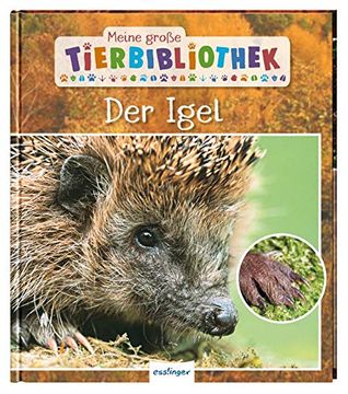 portada Meine Große Tierbibliothek: Der Igel (in German)