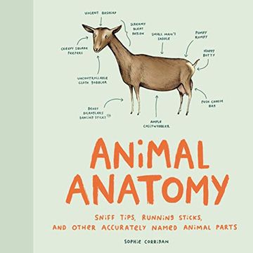 portada Animal Anatomy: Sniff Tips, Running Sticks, and Other Accurately Named Animal Parts (in English)