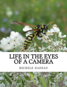 portada Life in the eyes of a camera: no one is perfect (en Inglés)