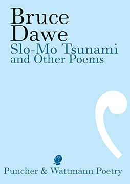 portada Slo-Mo Tsunami and Other Poems (en Inglés)