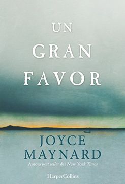 portada Un gran favor (Novela) (Spanish Edition)