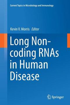 portada Long Non-Coding Rnas in Human Disease (en Inglés)
