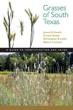 portada Grasses of South Texas: A Guide to Identification and Value (Grover e. Murray Studies in the American Southwest) (en Inglés)