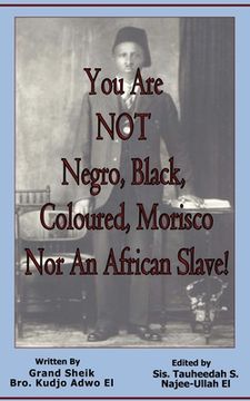 portada You Are NOT Negro, Black, Coloured, Morisco Nor An African Slave! (en Inglés)