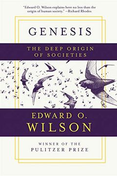 portada Genesis: The Deep Origin of Societies (en Inglés)