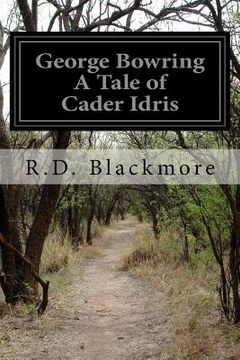 portada George Bowring A Tale of Cader Idris (in English)