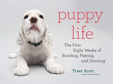 portada Puppy Life: The First Eight Weeks of Bonding, Playing, and Growing (en Inglés)