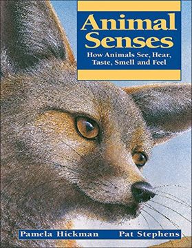 animal senses,how animals see, hear, taste, smell and feel