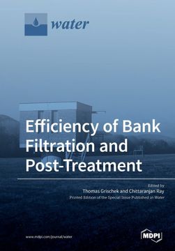 portada Efficiency of Bank Filtration and Post-Treatment (en Inglés)