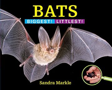 portada Bats: Biggest! Littlest! (en Inglés)