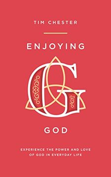 portada Enjoying God: Experience the Power and Love of god in Everyday Life (in English)