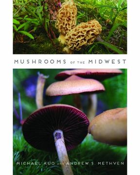 portada Mushrooms of the Midwest (en Inglés)