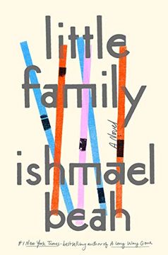 portada Little Family: A Novel 
