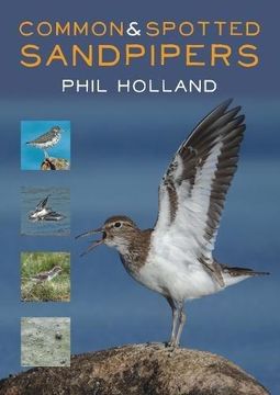 portada Common & Spotted Sandpipers (in English)