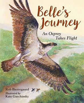 portada Belle's Journey: An Osprey Takes Flight (en Inglés)