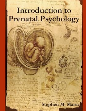 portada Introduction to Prenatal Psychology (in English)
