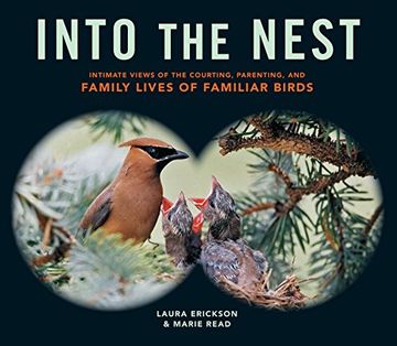 portada Into the Nest: Intimate Views of the Courting, Parenting, and Family Lives of Familiar Birds