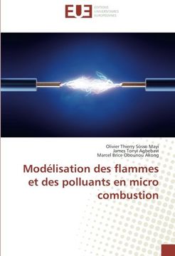 portada Modélisation des flammes et des polluants en micro combustion (Omn.Univ.Europ.) (French Edition)
