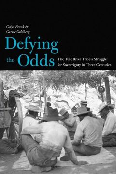 portada Defying the Odds (The Lamar Series in Western History) (in English)